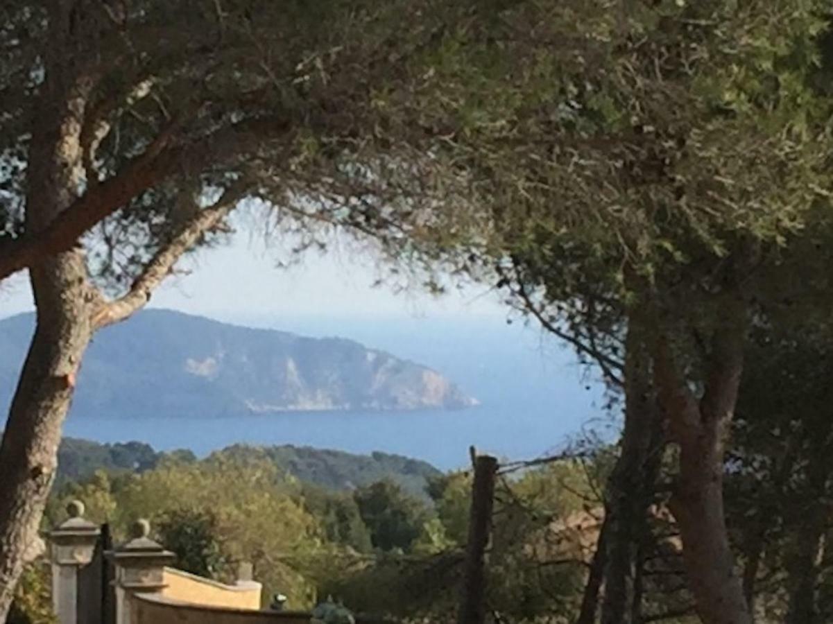 Villa La Louisiane La Ciotat Exterior foto
